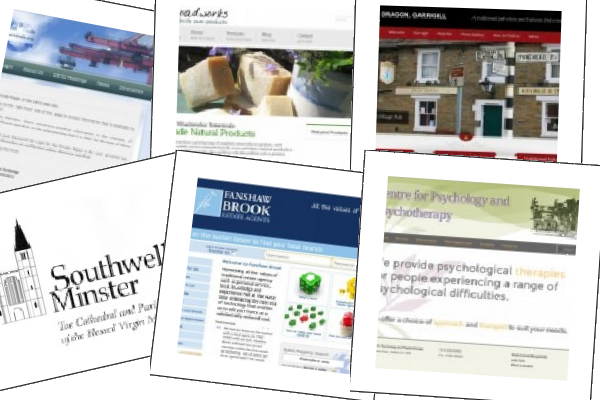 Photo montage of portfolio